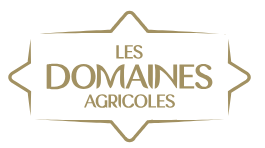 Logo du site