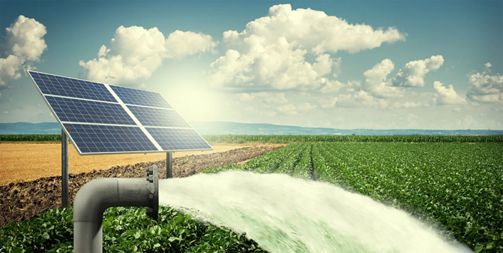 Énergies renouvelables, Les Domaines Agricoles sensibilisent leur capital humai …