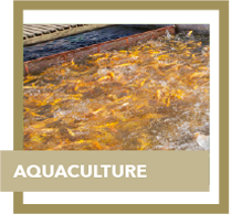 aquaculture