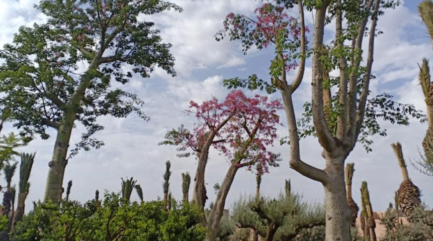 Les Domaines Agricoles diversifient leur portefeuille d’activités