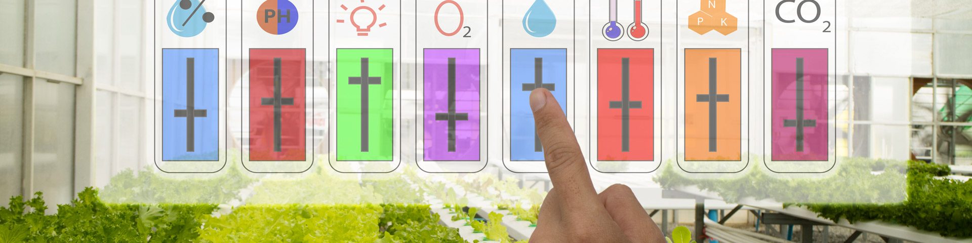 Les Domaines Agricoles, partenaire industriel clé d’une future station agro-photovoltaïque intelligente