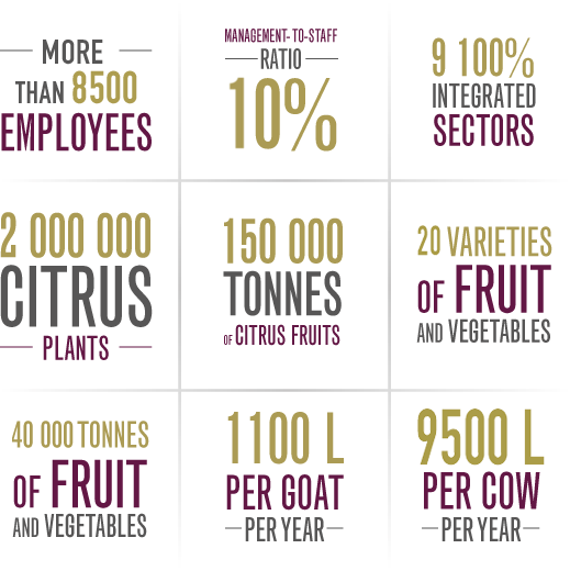 KEY FIGURES